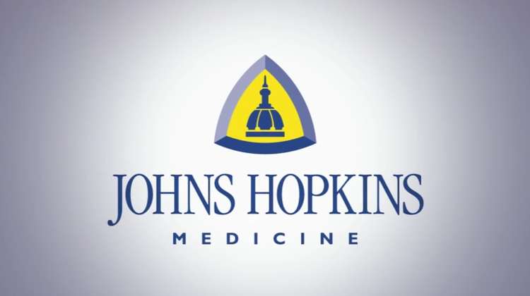Virtual Dolphin Helps with Stroke Rehabilitation