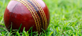 cricket ball