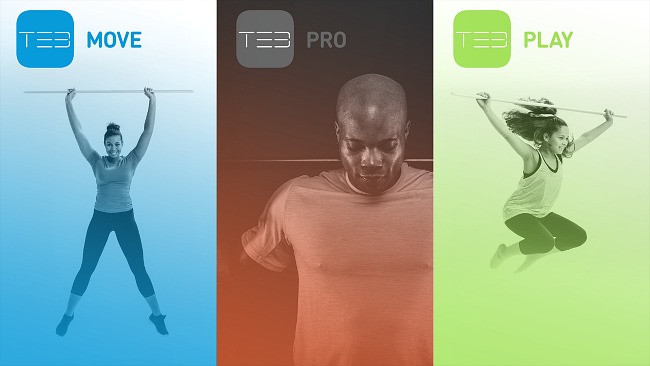 smart balance training stick