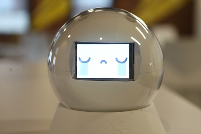robotic toy autism