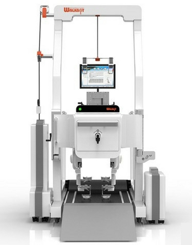 gait training system