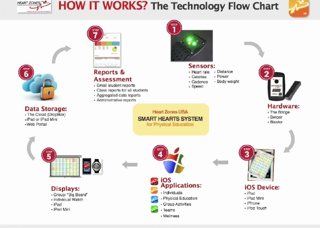 heart rate systems